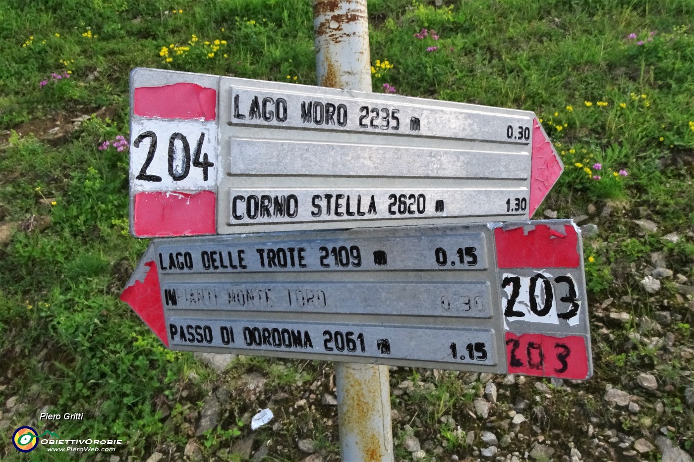 14 Salgo in Corno Stella a dx dal 204 per rientrare da sx dal 203.JPG